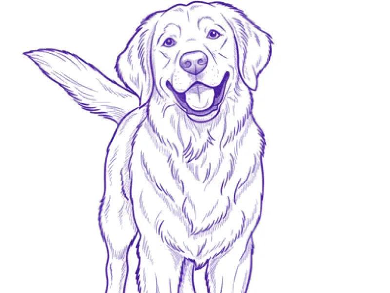 Golden retriever portrait converted into a tattoo stencil by the Stencify app